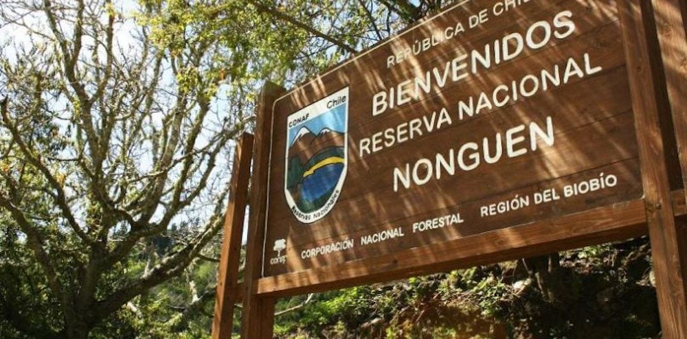 Città fra le maggiori e più antiche del Cile, Concepción è riflesso di storia, arte e cultura, nonché territorio ricco di folklore • Terzo Pianeta • https://terzopianeta.info